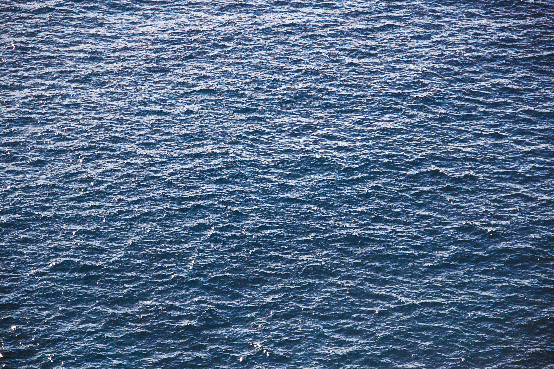 Finca_Ocean