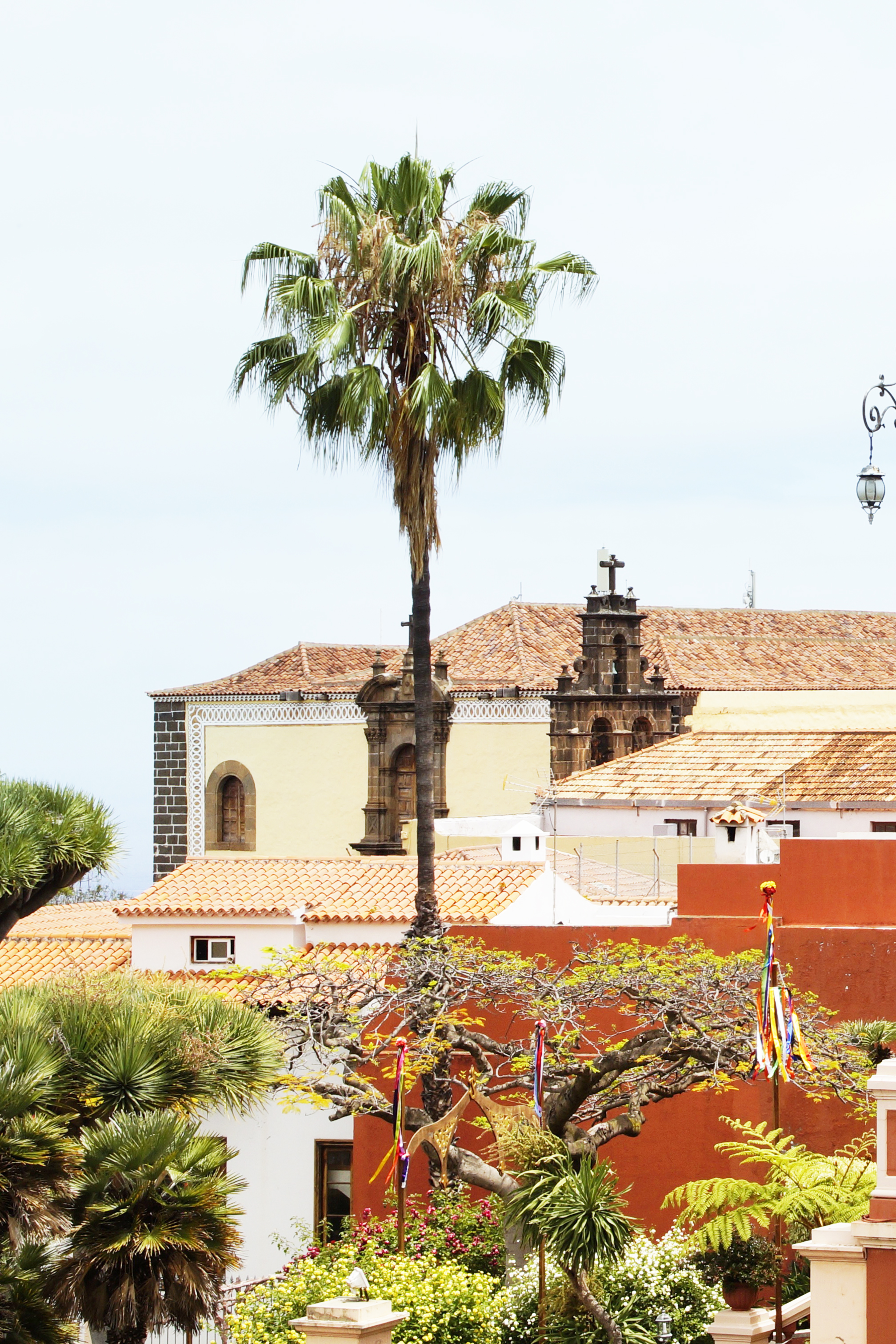 Finca_Garachico