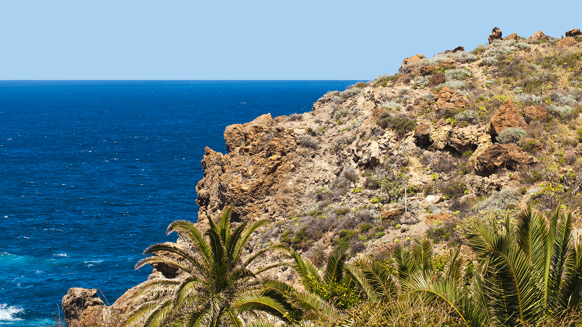 Finca_Atlantico_view