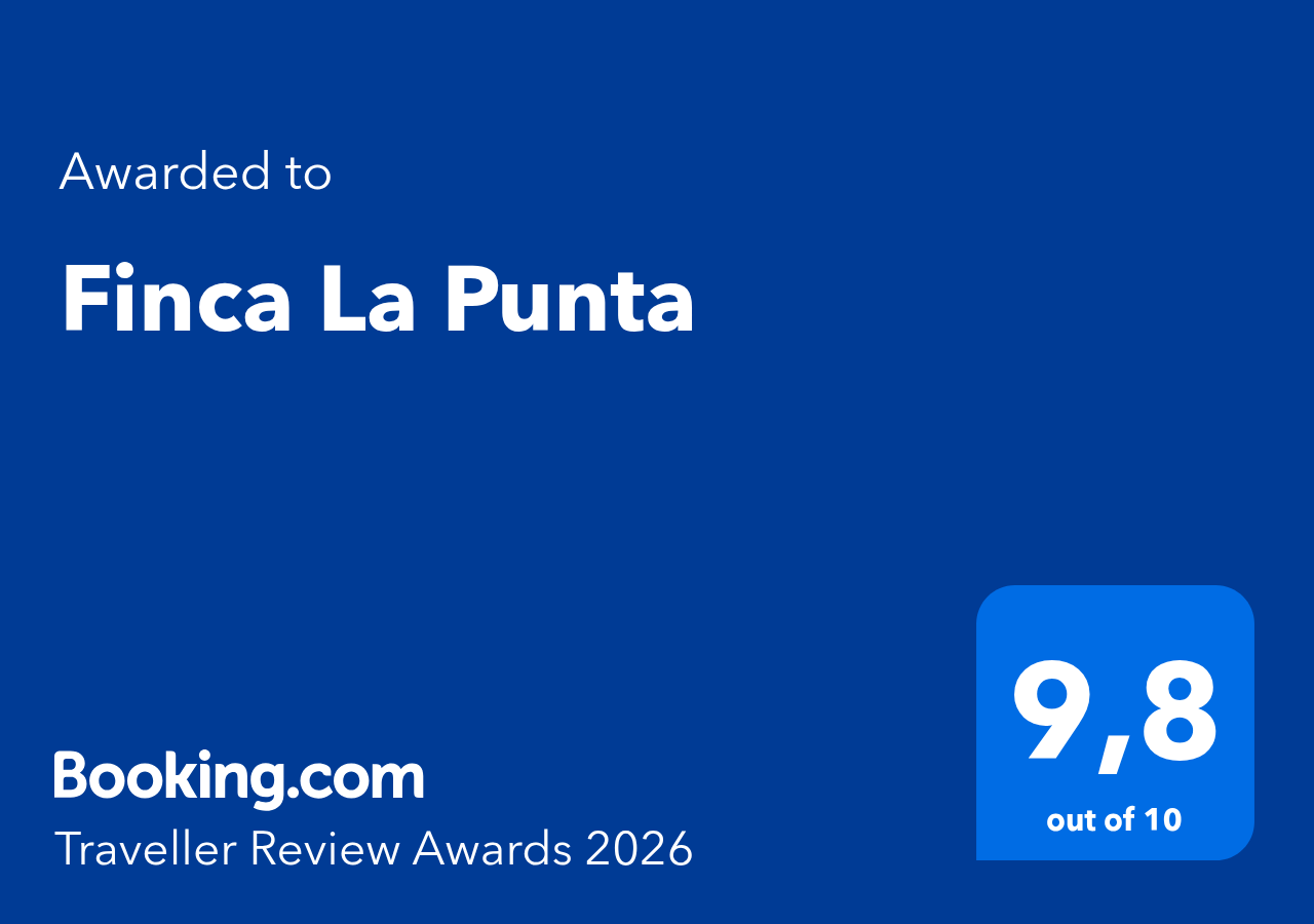 Digital-Award_RA-2026